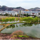 唐洞街道：“美丽屋场”绘就美丽乡村新图景