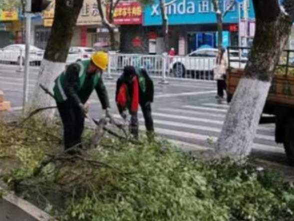 我市园林部门全力应对低温雨雪冰冻天气