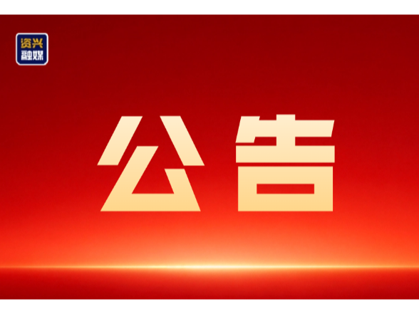 资兴市第十九届人民代表大会第一次会议公告（第七号）
