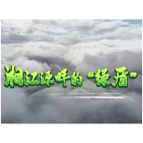 湘江源畔的“绿盾”