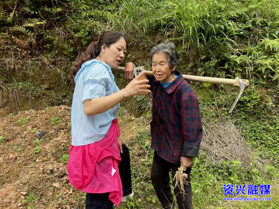 排查隐患不放松 认证服务送上门 黄草镇双管齐下惠民生