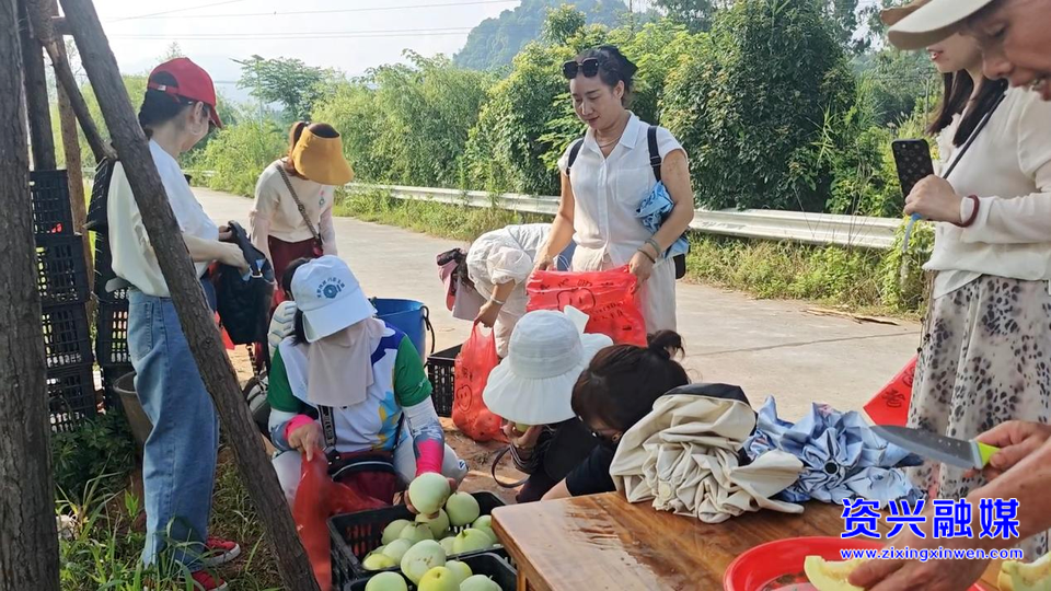 蓼江镇：爱心助农“云”端发力 香瓜走出“深闺”促增收