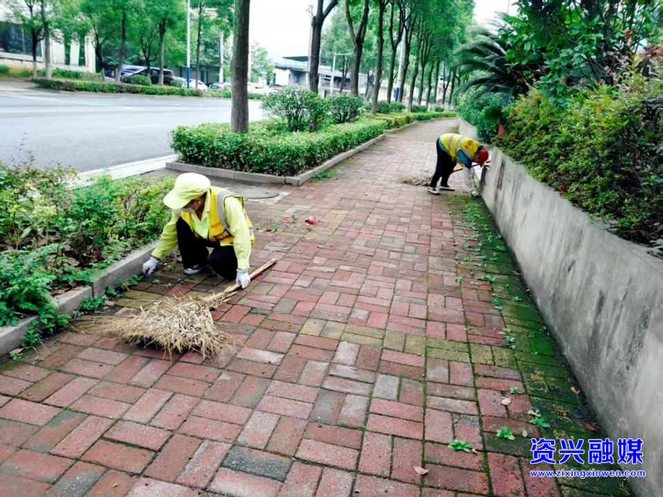 当好东道主 办好旅发会丨我市全面启动环境卫生巡查及专项整治行动