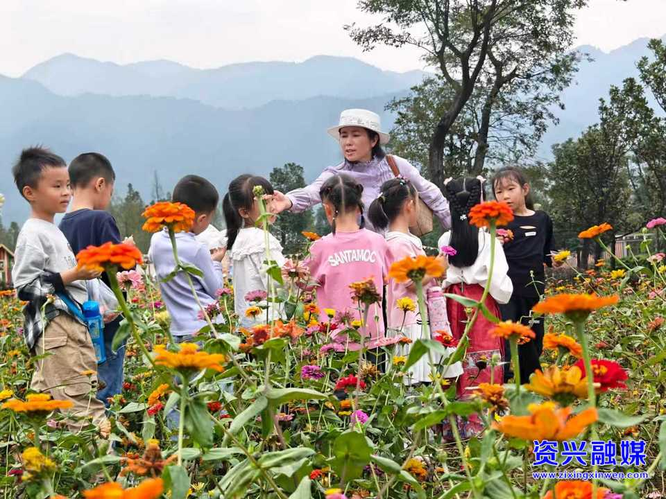 袁秀兰:守住孩子的尊严 点亮孩子的心灯