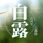 今日白露秋渐深