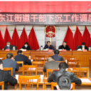 聚焦十大重点工作·风险大防控 | 陈占华调度东江街道干部下沉工作