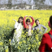 蓼江：踏青赏花采摘好去处