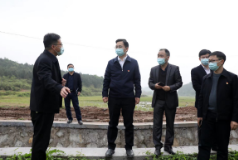 聚焦十大重点工作·乡村大振兴 | 杨理诚：坚决扛牢政治责任  严守耕地保护“红线”
