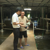 聚焦十大重点工作·乡村大振兴丨回龙山瑶族乡柏树村：“红绿”融合促发展