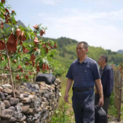 沿着红色足迹向未来丨布田：红色堡垒 英雄村庄（二）