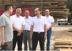 王仁庆到黄草督导乡村振兴等工作