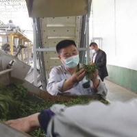 榜样的力量丨胡小刚：返乡创业带头人