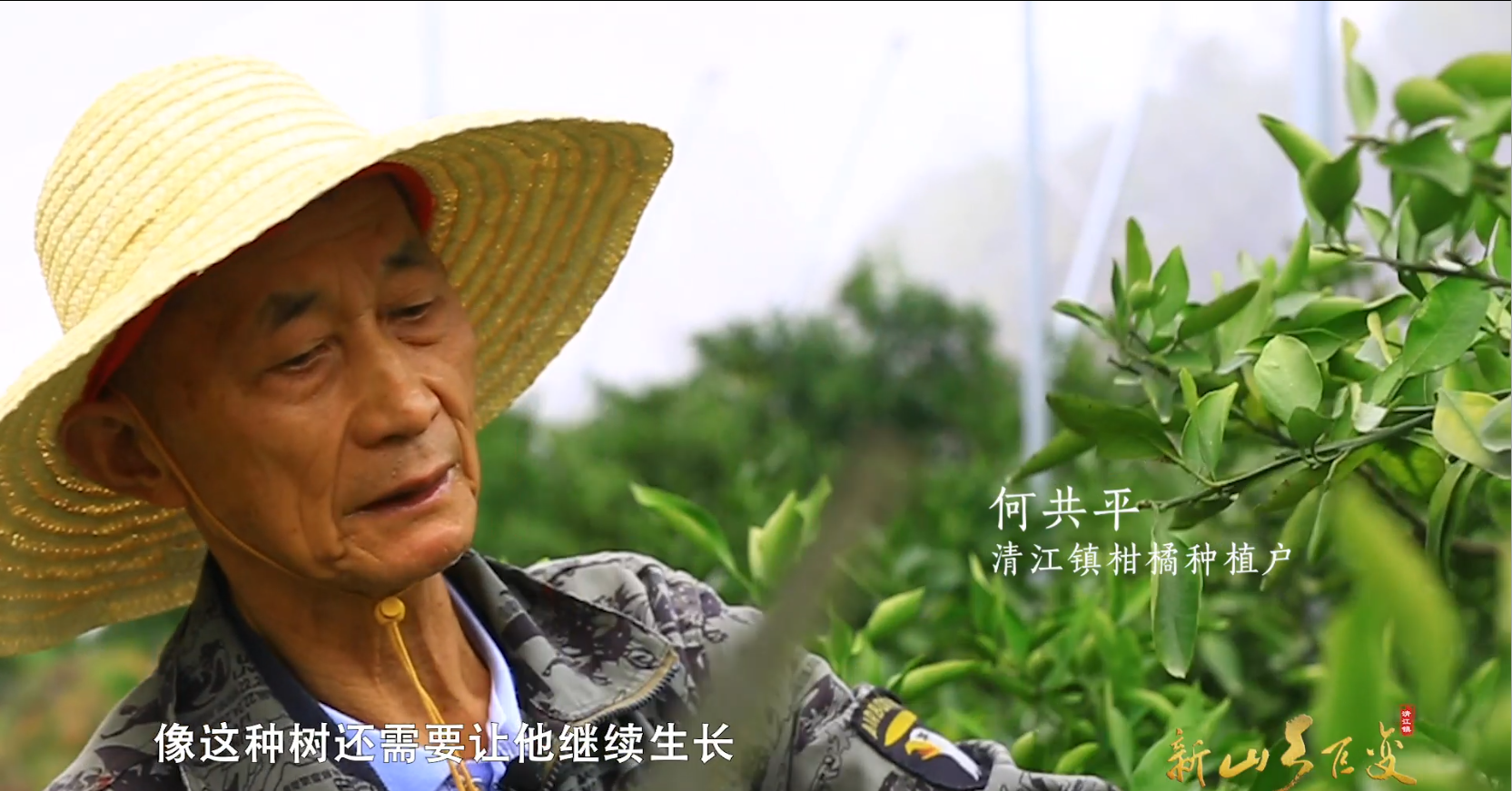 微信图片_202305181500395.png