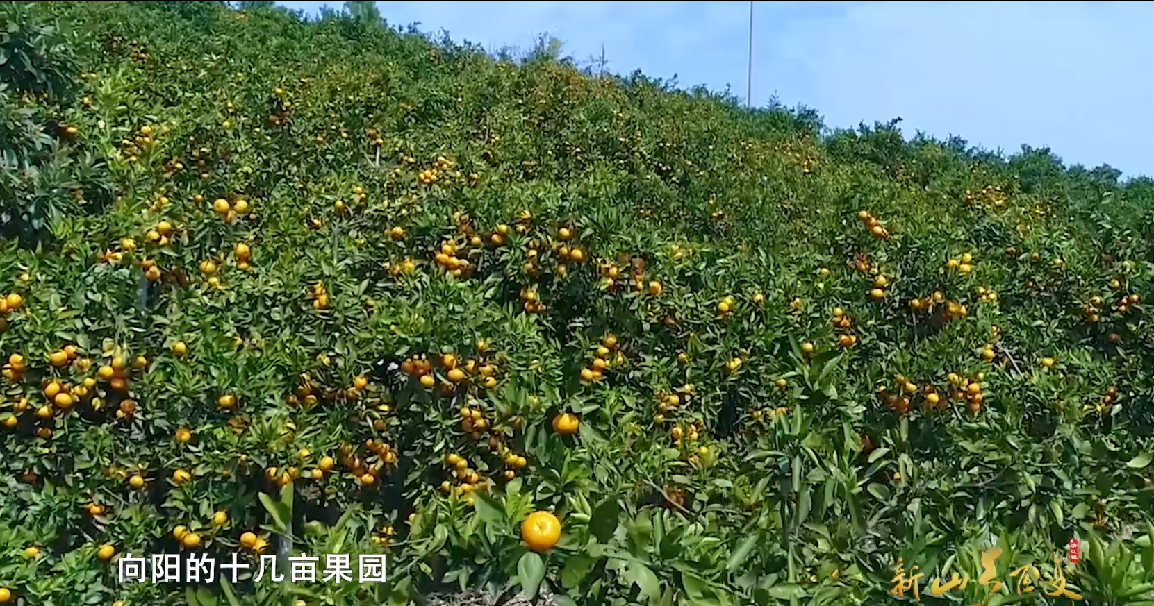 微信图片_202305181500394.png