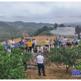 市残疾人柑橘栽培管理实用技术培训班开班