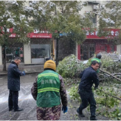 迎战低温雨雪冰冻天气 | 普降大雪  除雪保畅