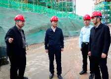 杨理诚调研灾后重建集镇集中建房安置项目建设工作