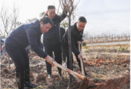 第46个植树节：携手植树添新绿 共建绿色新资兴
