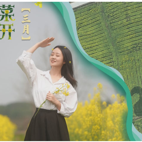 旅发进行时丨来蓼江，赴一场油菜花海之约