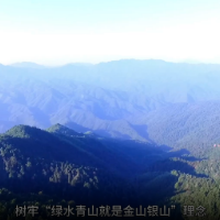 推进“六大新行动” 落实“八大行动” 彰显“七个新担当”| 市林业局：强化“六个聚焦”  推动林业高质量发展