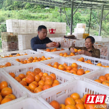 榜样的力量 ▏袁国庆:“新农人”助力乡村振兴