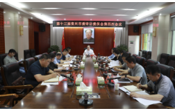 十三届市委审计委员会第四次会议召开： 把握方向发挥作用维护权威 以高质量审计服务保障高质量发展