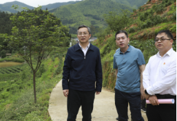 开展“四下基层”调查研究 ▏推进乡村全面振兴 构建现代化新城镇