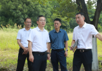 旅发进行时 ▏提速提升提质 塑造好资兴城乡环境新风貌