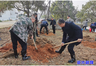 我市开展义务植树活动 共绘生态画卷 共建美丽资兴