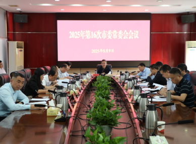 市委常委会召开2025年第16次会议