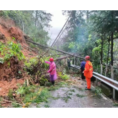 S205线黄草至岭秀路段发生较大面积山体滑坡，公路应急抢险队迅速出动···