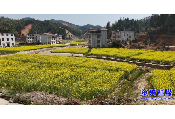 聚焦灾后重建 | 省公安厅：对口支援  有序高效 