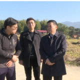 张爱国到资兴调研安全生产、乡村振兴等工作