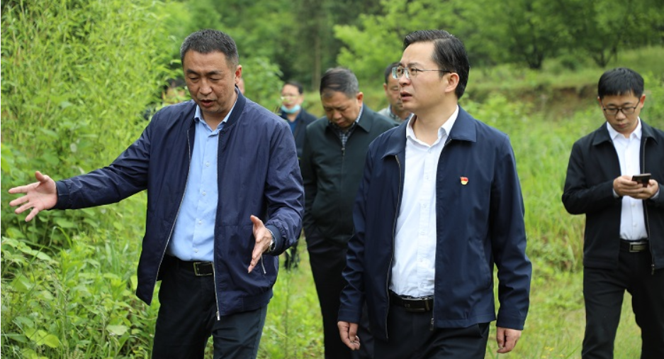 聚焦十大重点工作·风险大防控 | 杨理诚暗访督导居民自建房安全隐患排查整治工作