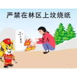 来，一起学习森林防火宣传知识
