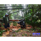 抗击强台风   “人社人”冲在前