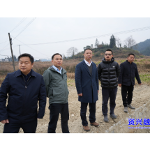 聚焦灾后重建 | 湘电集团领导到州门司镇建设村调研指导灾后重建工作