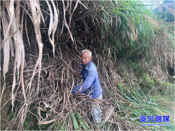 三十一载守护山村路——记“税里活雷锋”黄仁进