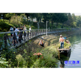 东江湾畔“美容师” 清除杂草护清波