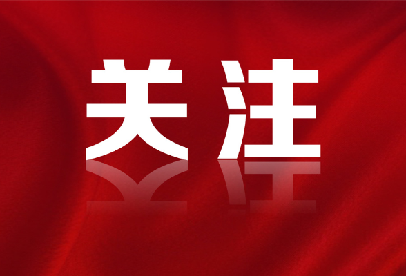 好评中国丨当椰风遇见全球好物：解码消博会的“活力方程”