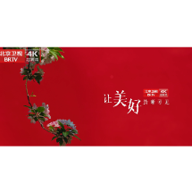 4K纯享版（肖战配音）