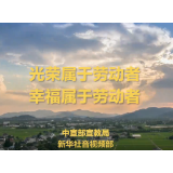 感人瞬间 |《劳动的力量》