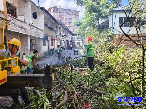 东江街道：群众参与安全隐患排查  共筑社会治理安全防线