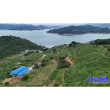 白廊镇：百亩桃园“甜蜜”开摘 