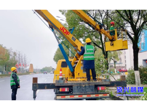 开局八好•兴城乡强区域 | 以绿为笔绘新景 我市开展第25个“城市绿化周”活动
