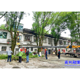 开局八好·惠民生增福祉|唐洞街道兴华路社区:小小剪枝行动 暖暖为民情怀