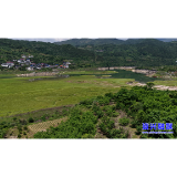 滁口镇：塘下草原铺绿毯 东江湖水映青山