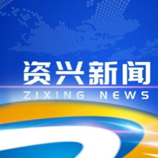 市委常委会召开2026年第29次会议