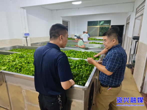汤溪镇：突击抽检守护“舌尖上的茶香”