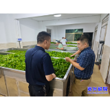 汤溪镇:突击抽检守护“舌尖上的茶香”